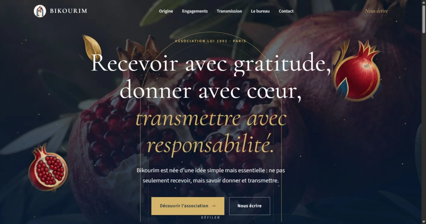 Capture du site Bikourim